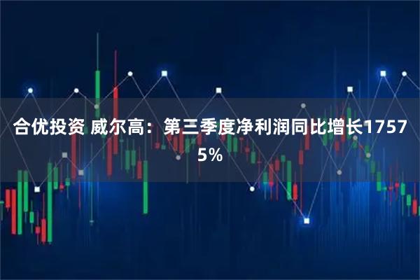 合优投资 威尔高：第三季度净利润同比增长17575%