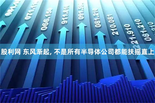 股利网 东风渐起, 不是所有半导体公司都能扶摇直上